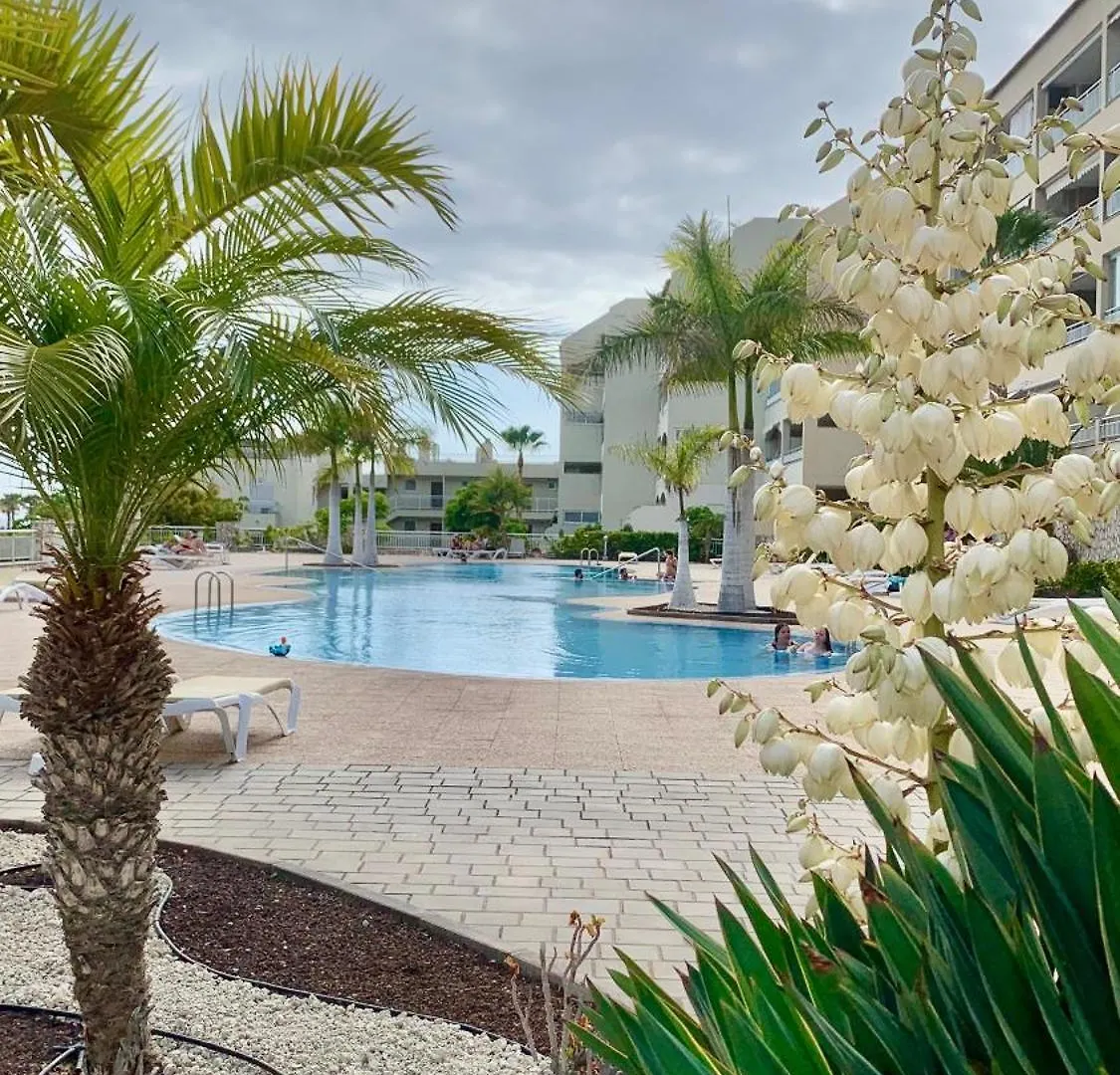 Apartman Apartamento Las Palmeritas Palm Mar Tenerife Sur