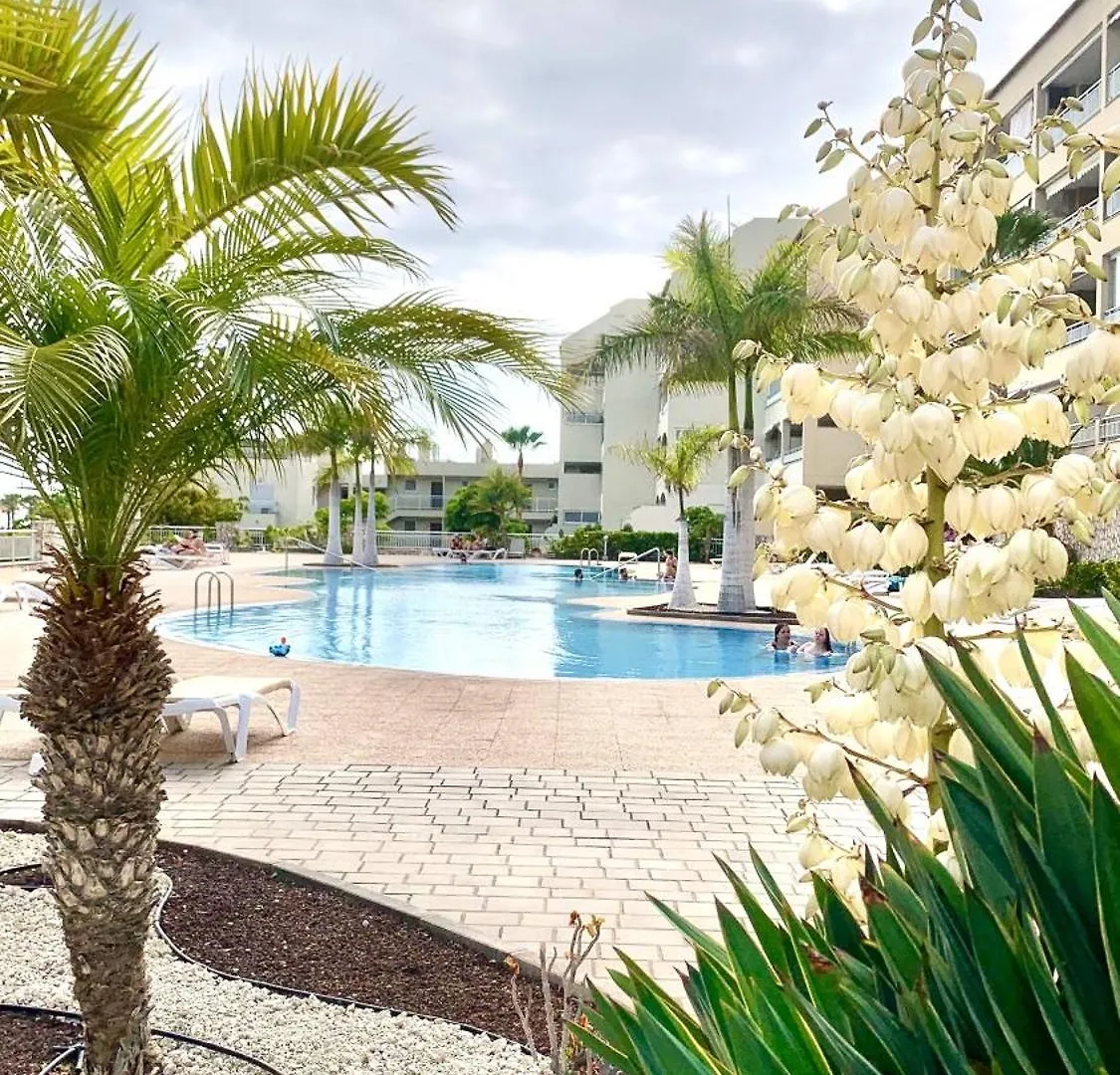 Apartamento Las Palmeritas Palm Mar Tenerife Sur location